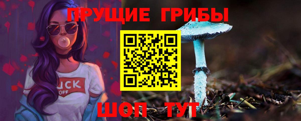 Копейск  Псилоцибиновые грибы MAGIC MUSHROOMS  Вход с VPN  Галлюциногенные грибы прущие грибы 